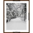 thumbnail image 5 of Art.com Path Through a Forest in Winter Photographic Print by Marcus Lange, Brown Frame Wall Art, 23" x 29", 5 of 5