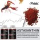 thumbnail image 5 of Astaxantina: promueve la salud cardiovascular y acelera el metabolismo. Suplemento antioxidante. 120 s, 5 of 5