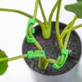 thumbnail image 3 of Paquete de 50 clips para doblar el entrenamiento de plantas, clips de entrenamiento para tallos de plantas para entrenamiento de bajo estrés y entrenamiento para doblar el crecimiento de las, 3 of 4