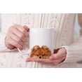 thumbnail image 7 of MUGBREW 11 Oz Ceramic Tea Cup Coffee Mug, Animal Red Teacup Pomeranian Dog, 7 of 7