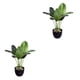 thumbnail image 4 of Cateissary Planta elegante de plástico fácil de limpiar, decoración para el hogar, plantas artificiales, plantas falsas, Canna + maceta Canna+maceta 2Conjunto, 4 of 6