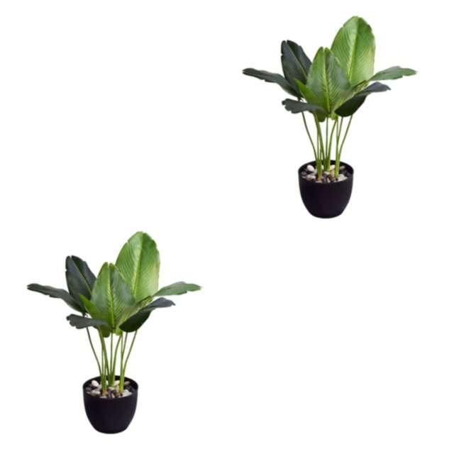 Toystoory Planta verde de bajo mantenimiento para interiores o exteriores, decoración para decoración del hogar, Canna duradera y maceta para Canna+maceta 2Conjunto