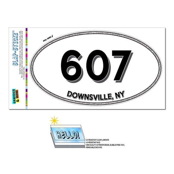 607 - Downsville, NY - New York - Oval Area Code Sticker