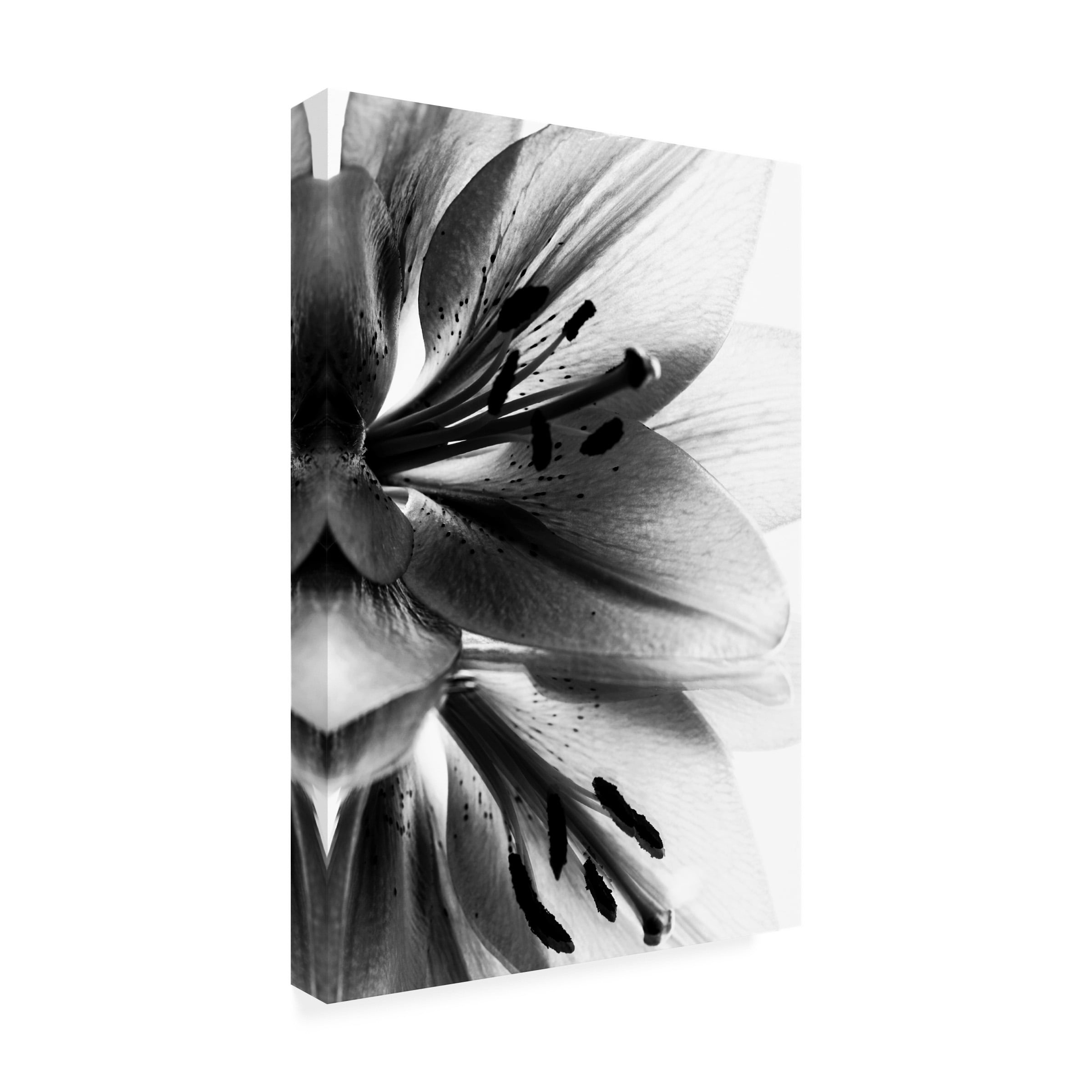 Andre Koenig 'Lily' Canvas Art