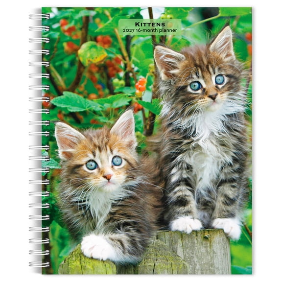 Kittens | 2027 6x7.75" Spiral-Bound Wire-O Engagement Planner