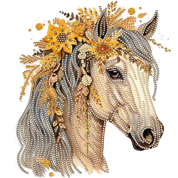 (XD391) Serie Caballo Pelo Largo Diamante Parcial Resina Forma Especial 30*30CM