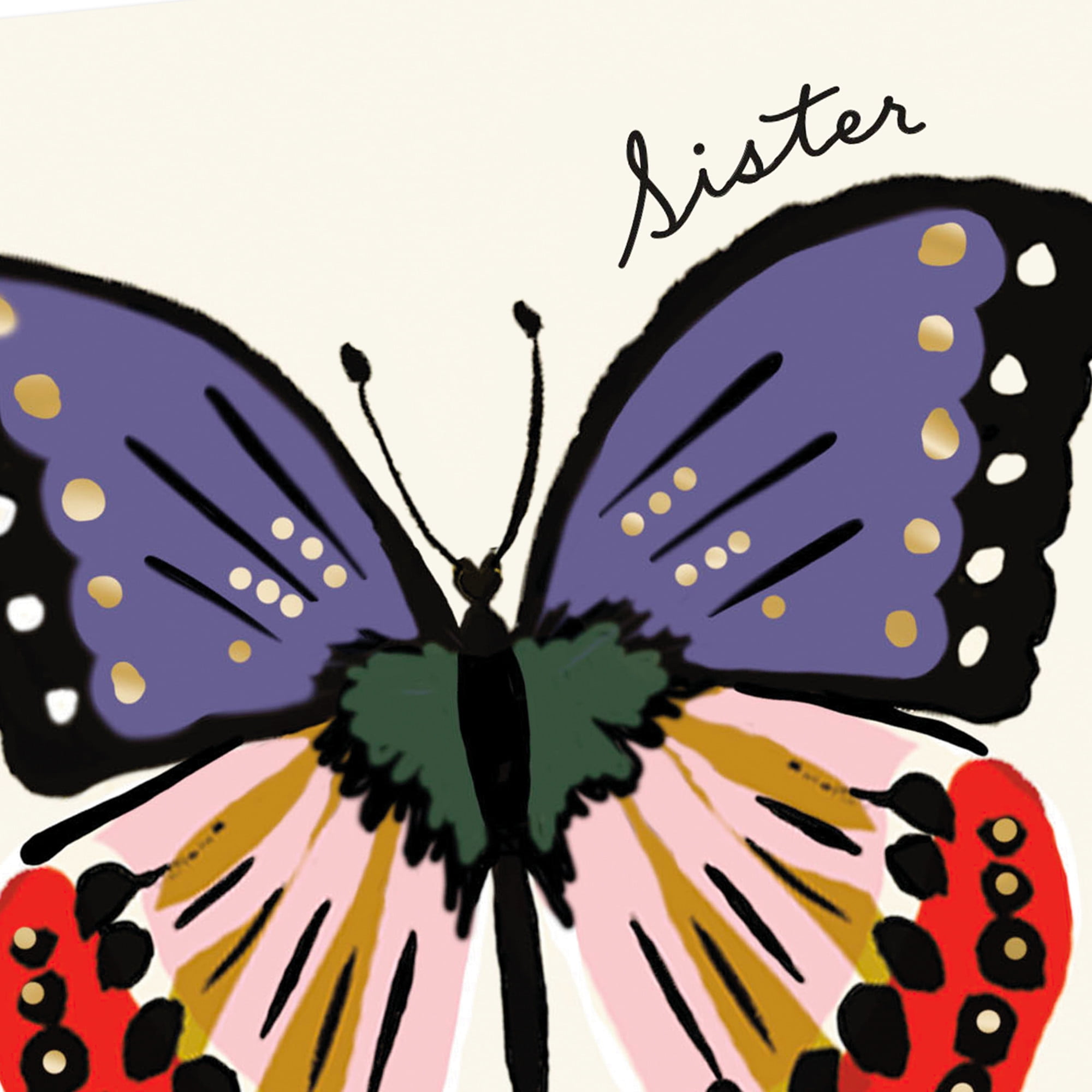 Hallmark Birthday Card for Sister (How Amazing You Are)