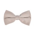 thumbnail image 1 of boxed-gifts Nœud Papillon Homme Couleur Unie (Argent), 1 of 3
