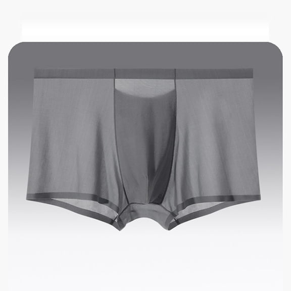 Rohuuque Men's Ice Silk Boxer Briefs Ultra-Thin Boxer Briefs Panties Invisibles Men Boxer Shorts Underwear Breathable Underpants Dark Gray