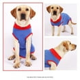 thumbnail image 4 of Pet Surgery Recovery Clothes Postoperative Care Clothes Nursing Clothes Anti-licking Pet Clothes Blue, 4 of 11