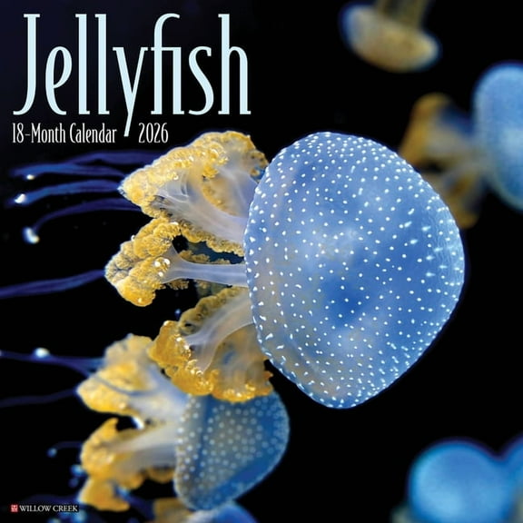 Jellyfish 2026 Wall Calendar, (Paperback)