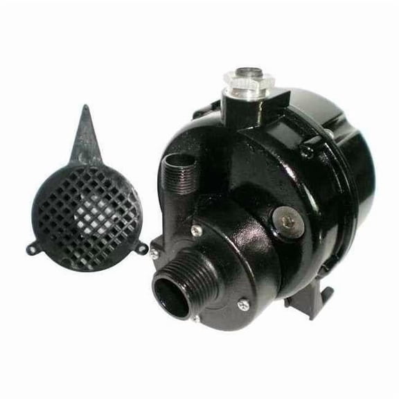 POM 1/50 HP Compact Submersible Pump 115V 12U597