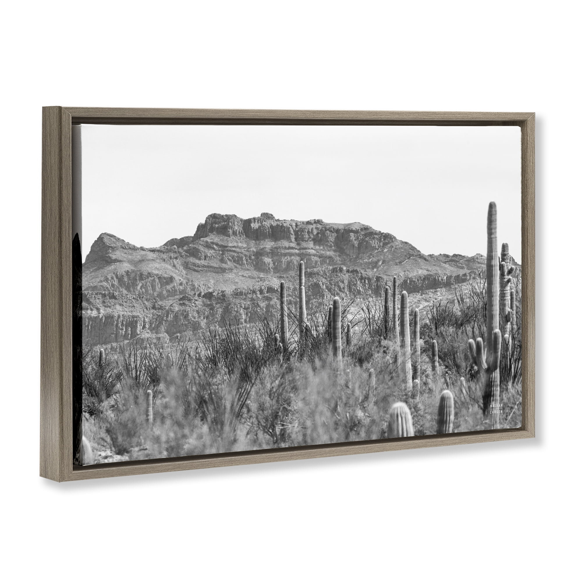 Stupell Industries American Borderlands Desertscape Landscape & Nature Photography Brown Floater Framed Canvas Art Print Wall Art, 31 x 21
