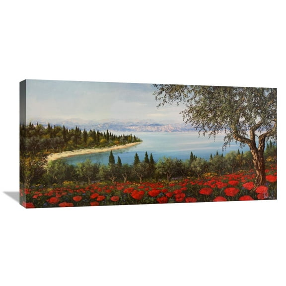 Global Gallery Tebo Marzari,'Papaveri Sulla Baia' Stretched Canvas Artwork
