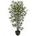 thumbnail image 3 of Nearly Natural 6Ft. Bamboo Silk Tree With Planter, 3 of 4