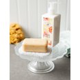 thumbnail image 2 of DII Soaps Up Juego de 6 Design Imports Blanco, 2 of 2