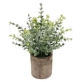 thumbnail image 1 of Plantas artificiales en maceta, pequeñas plantas falsas para decoración de oficina. Pequeño Eucalipto, 1 of 9