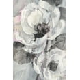 thumbnail image 2 of Hristova, Albena 23x32 Gold Ornate Wood Framed with Double Matting Museum Art Print Titled - White Delight II, 2 of 4