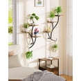 thumbnail image 7 of Wall Planters for Indoor Plants 2 Pack, 6 Tiered Wall Plant Holder Hanging Planters Plant Stand Indoor, Window Plants Shelves for Living Room, 7 of 7