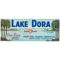thumbnail image 2 of Anonymous 18x9 Gold Ornate Wood Frame and Double Matted Museum Art Print Titled - Lake Dora Brand Citrus Label (1930-1950), 2 of 4