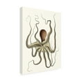 thumbnail image 2 of Unknown 'Antique Octopus Collection I' Canvas Art, 2 of 4