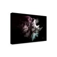 thumbnail image 2 of Trademark Fine Art 'Wild Explosion Collection - The Rhino' Canvas Art by Philippe Hugonnard, 2 of 3
