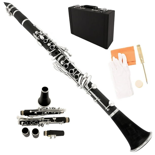 Professional School Band Bb Student Beginner w/ Case, Care Kit