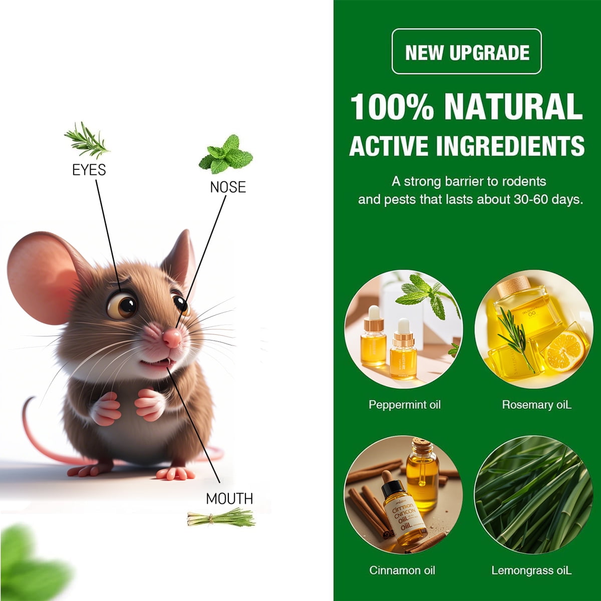 Rat Repellent for House Mice Repellent Indoor 20 Packs Of Rat Balls, Natural Ingredients, Safe For Indoor Use, Repel Rats Instead Of Killing Them, Variety Of Strong Mint Scents To Work.
