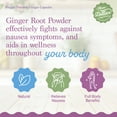 thumbnail image 3 of Three Lollies Preggie Naturals Ginger Capsules - Nausea Relief Supplement - Morning Sickness Prevention & Nausea Relief During Pregnancy - Immune Support - Made in USA - 1000mg Ginger Root - 30 Caps, 3 of 6