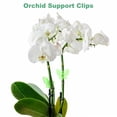 thumbnail image 5 of Uxcell 100-Pack Orchid Clips Plastic Garden Plant Clips Dragonfly Orchid Clips [Green], 5 of 7