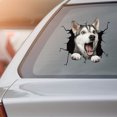 thumbnail image 3 of TIMIFIS Stickers Car Sticker Window Sticker Pet Lover Sticker Cars Crack Decal Walls Laptops Halloween Decorations - Fall Savings Clearance, 3 of 3