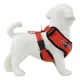 thumbnail image 5 of Pechera Arnes Ajustable Con Correa Para Perro, 5 of 8