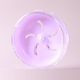 thumbnail image 2 of CSChome Jouet Hamster Bord Lisse Résistant aux Morsures Jouet d'Exercice pour Cochon d'Inde Roue Hamster, 2 of 7