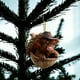 thumbnail image 1 of Artesanías Decorativas 1 pieza de 8cm Animales del bosque con colgantes de árbol de Navidad adorno acrílico para corona y guirnalda de árbol JASKFLY, 1 of 6