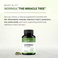 thumbnail image 3 of Cápsulas de moringa Sandhu Herbals 100% puras 120 cápsulas, 3 of 8