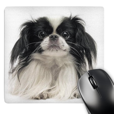 3dRose  Pekinese  MousePad price history on PriceWatchPro