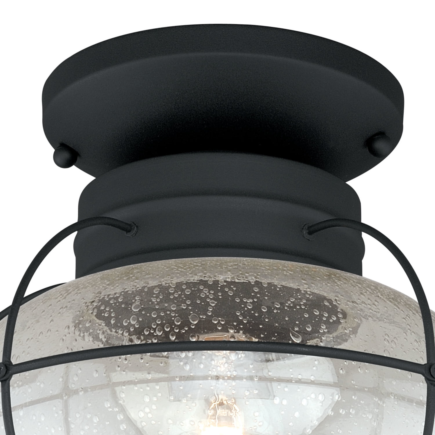 Chatham Black Coastal Globe Outdoor Flush Mount Ceiling Light Clear Glass