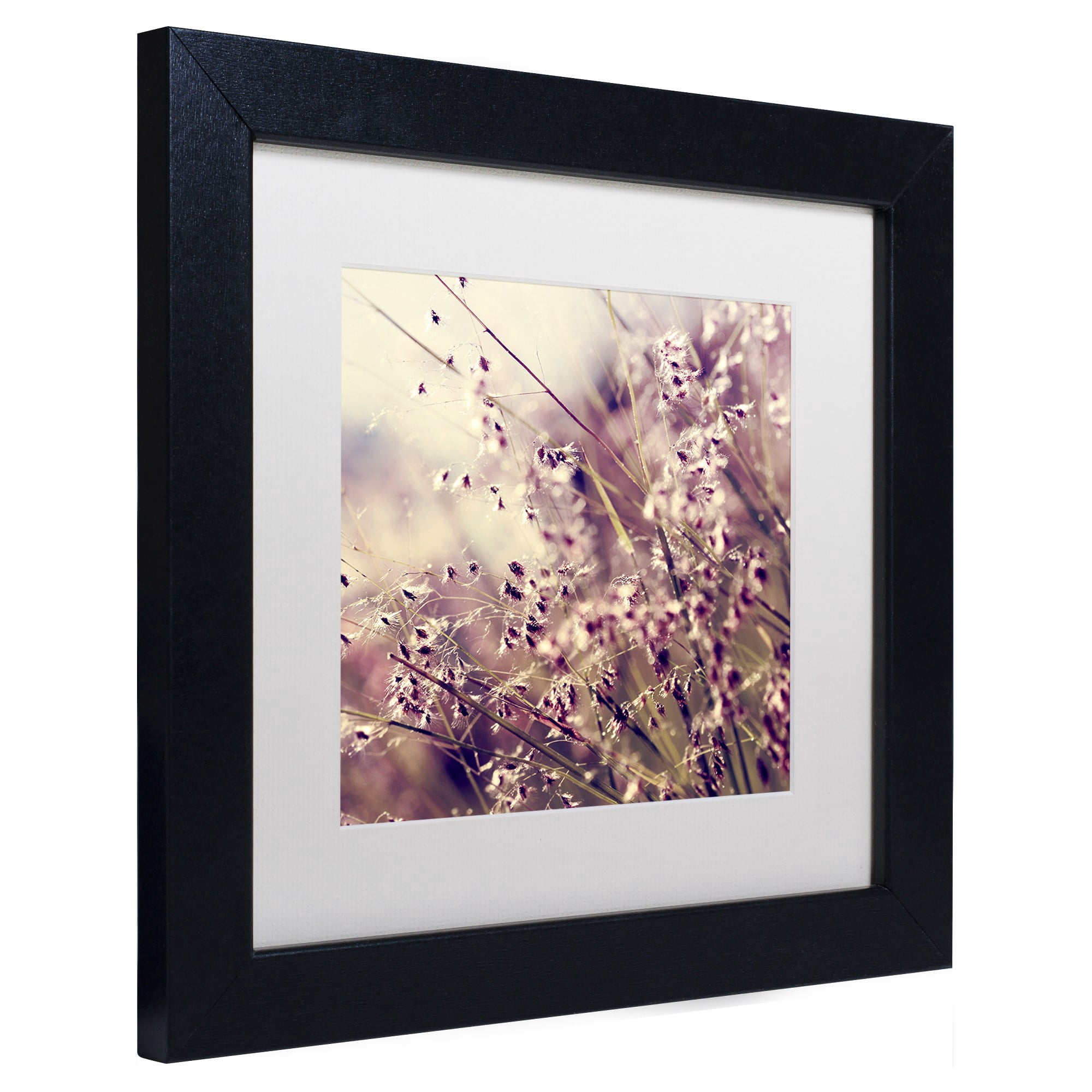 Trademark Fine Art "Field of Sunshine" Canvas Art by Beata Czyzowska Young, White Matte, Black Frame