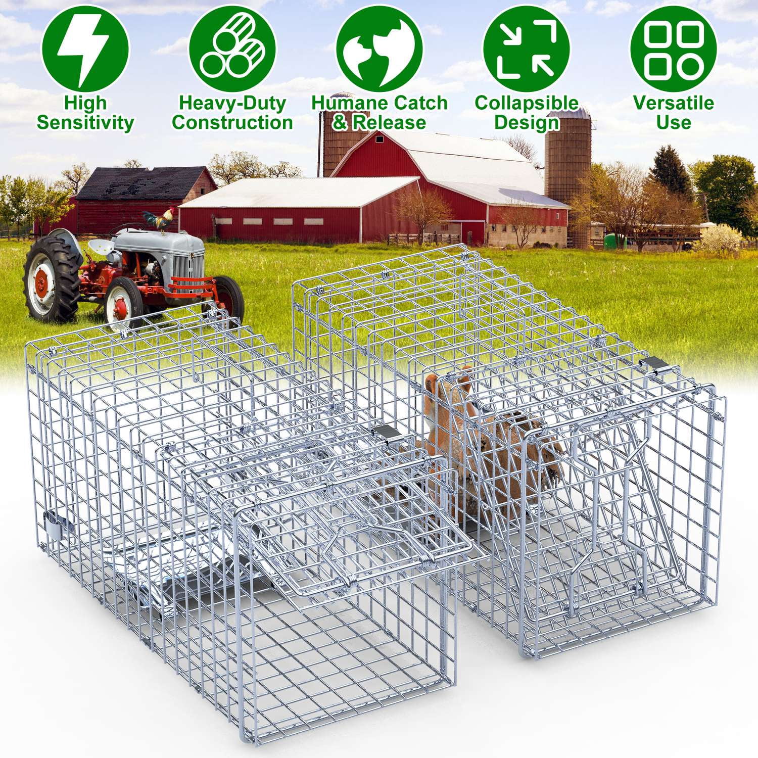 KFFKFF Live Capture Animal Trap, Dimensions 24