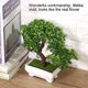 thumbnail image 3 of Bonsái artificial, flor falsa, planta en maceta, hogar, oficina, jardín, decoración interior, 3 of 7