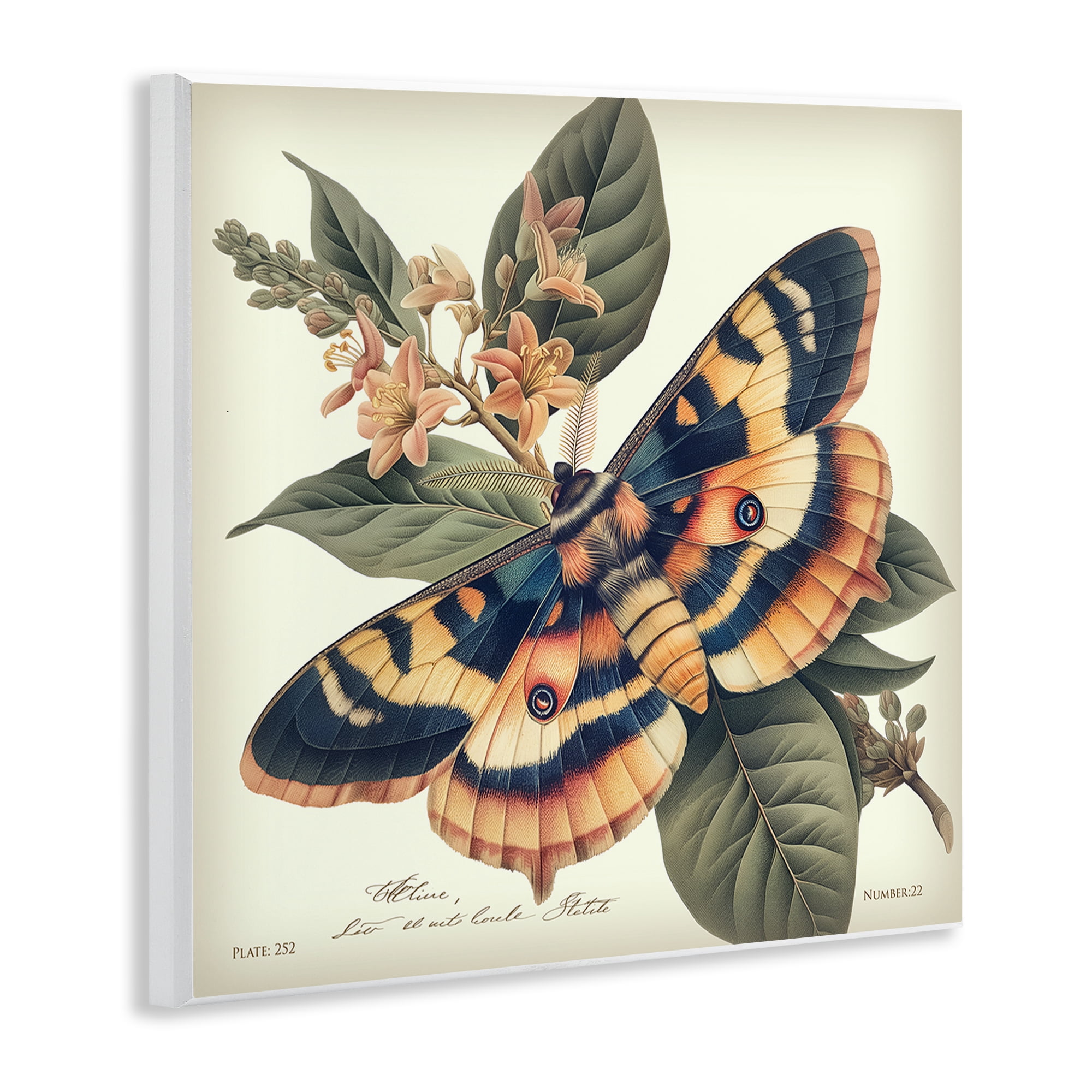 Stupell Industries Detailed Moth & Lilies Animals Painting Unframed Art Print Wall Art, 12 x 12