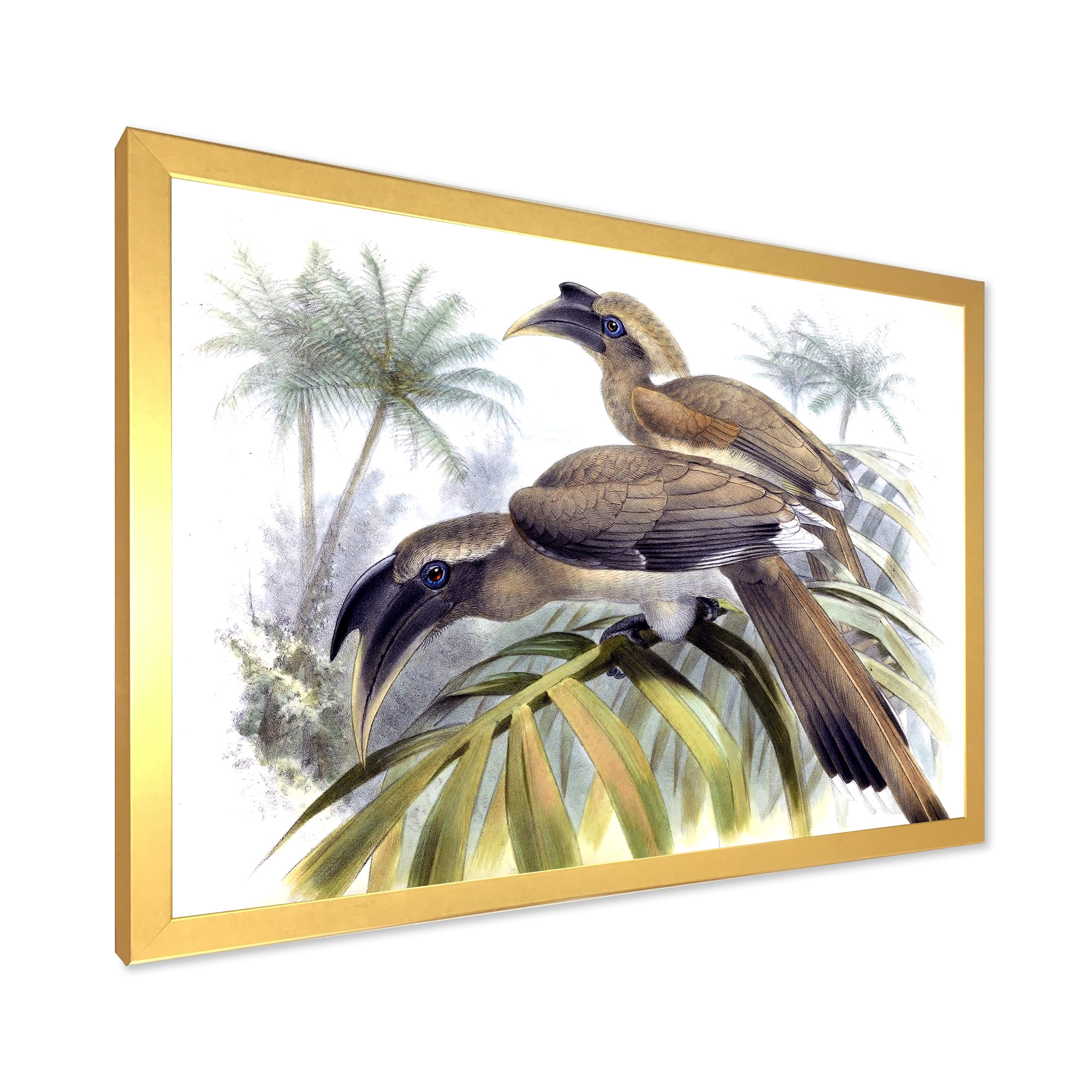 Designart 'Ancient Australian Birds XIV' Traditional Framed Art Print