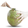 thumbnail image 2 of Stainless Steel Coconut Opener for Fresh Green Coconut Water Open Tools, 2 of 6