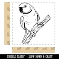 thumbnail image 2 of Indian Ring-Necked Parakeet Rose-Ringed Bird Parrot Square Rubber Stamp Stamping Scrapbooking Crafting - Small 1.25in, 2 of 7