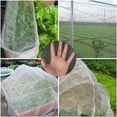 thumbnail image 5 of Insect Protection Net Garden Plant Insect Vegetables Fruit Flower Protection Greenhouse Cover Control Pest Anti-Bird, 5 of 10
