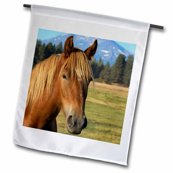 3dRose, Oregon, Three Sisters, Cascade Range, horse - US38 LEN0017 - Lisa S. Engelbrecht, 12 x 18 inch Garden Flag