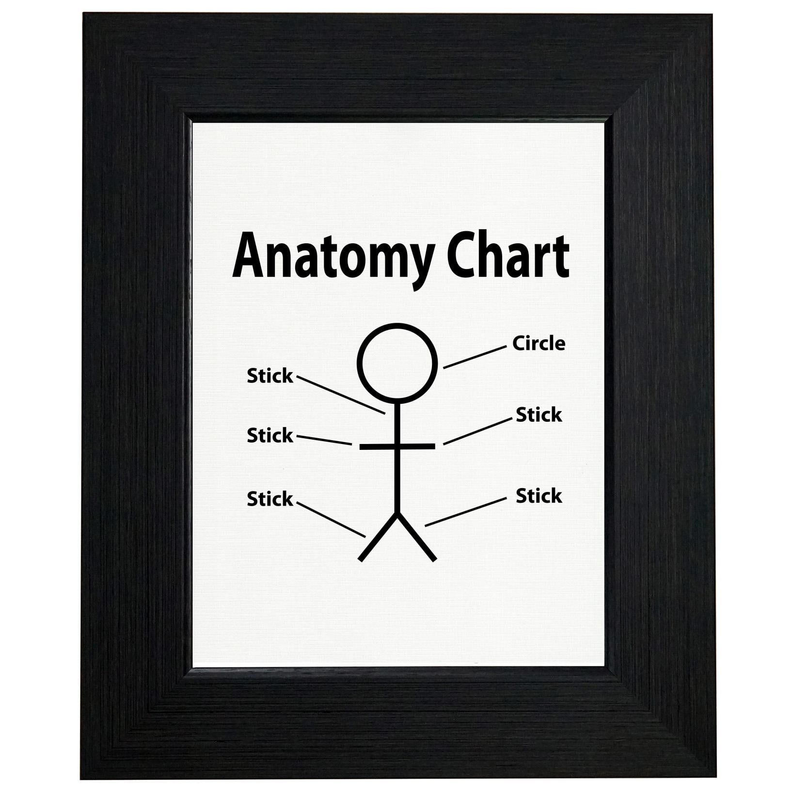 Stick Figure Anatomy Chart Sticks & Circle Funny Framed Print Poster