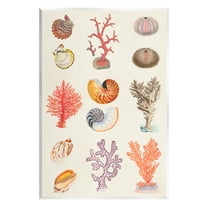 Stupell Industries Various Sea Life Nautical Latin Study Graphic Art Unframed Art Print Wall Art, Design by Vision Studio