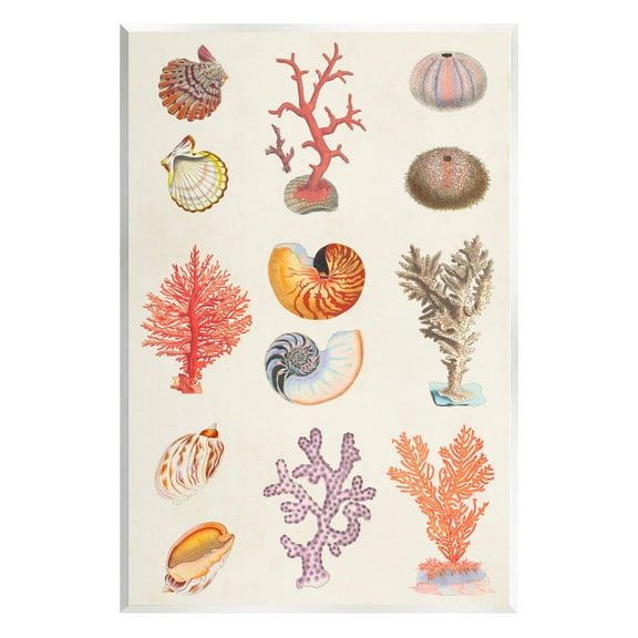 Stupell Industries Various Sea Life Nautical Latin Study Graphic Art Unframed Art Print Wall Art, Design by Vision Studio