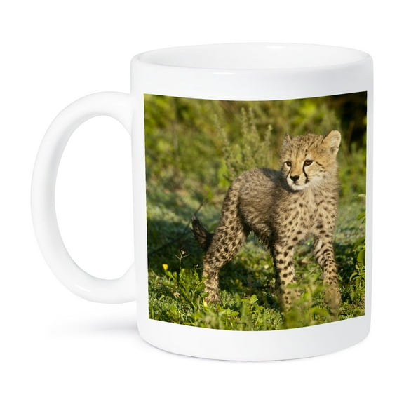 3dRose, Tanzania, Cheetah, Ndutu, Ngorongoro -AF45 RBE0322 - Ralph H. Bendjebar, 15oz Mug